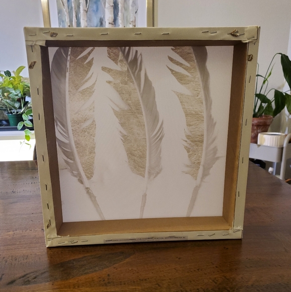 15"x15"x2.5" Canvas Feathers artwork - Picture 4 of 6